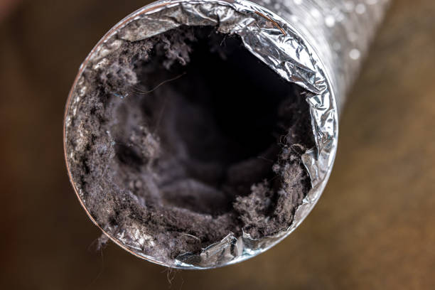 Best Affordable Duct Cleaning Services  in Flagstaff, AZ